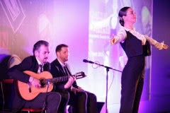 Event themed entertainment