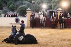 themed events 11
